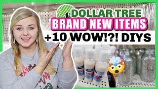 10 BRAND NEW SHOCKING DOLLAR TREE ITEMS  DOLLAR TREE DIYS 2021  Krafts by Katelyn [upl. by Dnomse10]