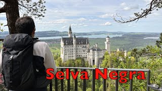 Viaje a la Selva Negra [upl. by Yllas]