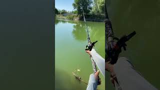 Best fishing rod viralvideo youtubeshorts shorts [upl. by Gage]