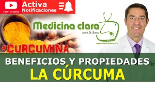 Beneficios de la Cúrcuma Tomar Cúrcuma ¿Es tan bueno como dicen  Propiedades de la Cúrcuma [upl. by Dorene]