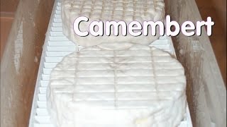 Making Camembert at Home [upl. by Verney]