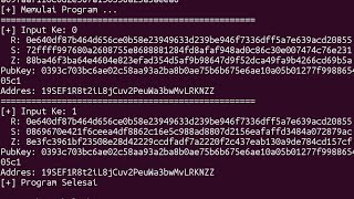 Recover Bitcoin Private Key  Get RSZ value From Tx Hash Script [upl. by Aehcim]