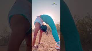 Standing Chakrasana yogaurmi shortvideo yogapose shorts ytshort urmiyogaacademy [upl. by Eppilihp106]