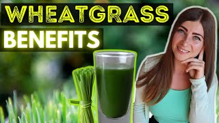 Amazing Wheatgrass Juice Powder Benefits and Uses 🌱 [upl. by Reidar]