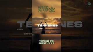 Unlocking the Power of Terpenes for Therapeutic Benefits [upl. by Enibas]