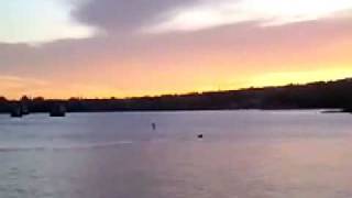 New footage of Champ the Lake Champlain Monster [upl. by Neelyak]