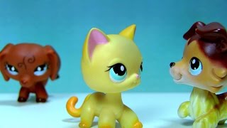 Littlest Pet Shop Sweetheart Episode 8 Just Friends [upl. by Staw]