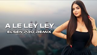 Elsen Pro  A Le Ley Ley Tiktok Remix [upl. by Spence]