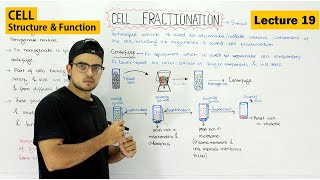 Cell fractionation  Basic technique of Cell biology  Video 19 [upl. by Anilas]