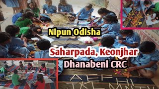 Nipun Odisha Dhanabeni Cluster  Nipun Odisha Saharpada Keonjhar 💯 [upl. by Hareehat]