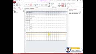 Biometric Attendance Project MS Access [upl. by Esiocnarf]