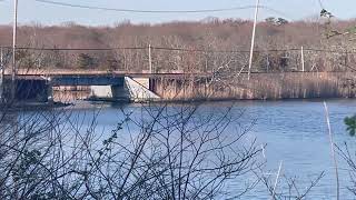 LIRR Trains Passing close by the Forge River Marina on the Bridge [upl. by Brothers]