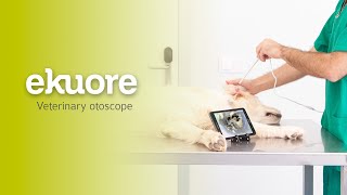 How to use the digital veterinary otoscope  eKuore Mobile Health Devices [upl. by Kaczer489]