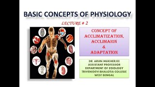 Acclimatization Acclimation and Adaptation [upl. by Htebizile308]