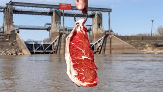 Catching 100 LBS of MONSTER CATFISH BIG Fish [upl. by Demah131]