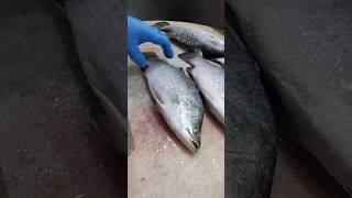 Butterfly Sea Bass Fish Cutting Skillsshorts [upl. by Nnyleuqcaj]