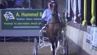 Atleet algeheel beeld als tuigpaard 9 m4v [upl. by Uehttam985]