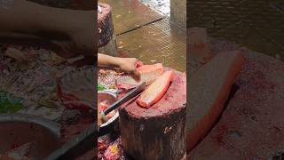 Amazing Special Perfect Size Pangas Fish Cutting Skills In Fish Market live par7 😱 shorts [upl. by Byrdie]