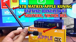 Cara setting dongle wifi di stb matrix apple kuning  koneksi internet di stb dvb t2 matrix kuning [upl. by Haseena575]