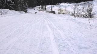 Sledging at Holmenkollen Oslo [upl. by Bonnice615]