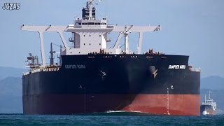 Shipspotting Japan  MV DAMPIER MARU Bulk Carrier バラ積み船 第一中央汽船 2016FEB [upl. by Htrap63]