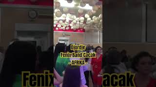 Menadzer 0653718370 Djordje amp Fenix Band Cacak Pozega Bendovi Za Svadbe wwwfenixbandcacakcom [upl. by Brackett]