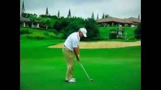 Steve Stricker  Spinning Pitch Shot Pro Pitch [upl. by Nauaj]