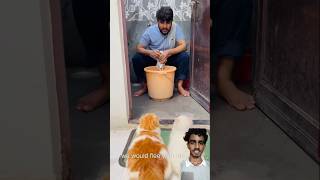 maalik ke bure din aa gye🤣😂 cat viralcat catvideo catcomedy [upl. by Meenen]