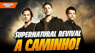 SUPERNATURAL VAI VOLTAR EM 2025 [upl. by Edak]