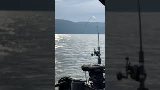 Beautiful Scenery of my day on Okanagan Lake BC Canada Fishing Rainbow Trout [upl. by Nairbal11]