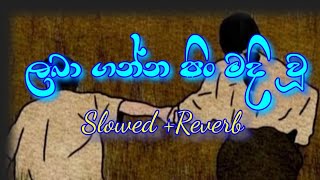 Laba ganna pin madiu  ලබා ගන්න පිං මදි වූ Slowed And Reverb New Sinhala Songs [upl. by Hcib]