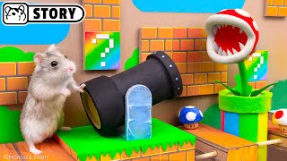 🍄 Hamster Escapes the Super Mario Maze 20 🍄 Homura Ham [upl. by Ahsuat]