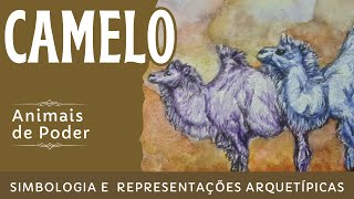 O camelo como animal de poder  representações arquetípicas e simbologia [upl. by Brine112]