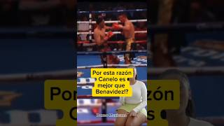 Benavidez vs GavrilBenavidez Knockdown boxeo boxeolv box davidbenavidez caneloalvarez [upl. by Elizabet285]