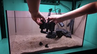 How To Set Up an Aquarium for Beginners How To Set Up Fish Tank [upl. by Ennayelhsa]