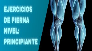 los MEJORES ejercicios de PIERNA para EMPEZAR en el GYM  hipertrofia [upl. by Biddie27]