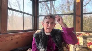 Bishop Scanlan’s Weekly Video 113024 [upl. by Daphne]