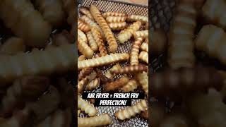 Frozen French Fries are Perfect in the Air Fryer [upl. by Yennep]