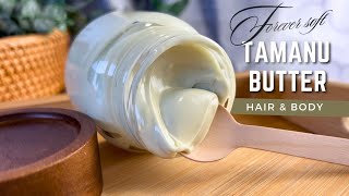 ✨How I Made Body Butter that stays Silky amp Soft Forever  DIY Tamanu Hair amp Body Butter [upl. by Frodin]