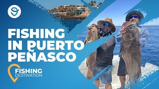 Puerto Peñasco Fishing The Complete Guide [upl. by Maida]