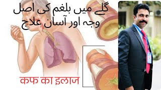 Top 3 causes of Mucus and Phlegm and its Treatment in Urdu Hindi [upl. by Nicki]