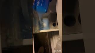 Handdoeken wasje 50 graden 1400 toeren shorts asmr wasmachine [upl. by Antsirhc]