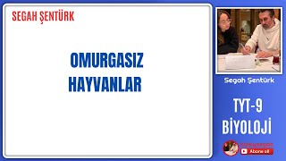 OMURGASIZ HAYVANLAR  TYT BİYOLOJİ  9SINIF BİYOLOJİ  YKS 2025 [upl. by Funda]