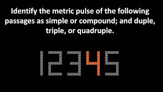 Aural Identifying Metric Pulse 6 [upl. by Llehctim]