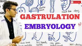 Embryology  Gastrulation [upl. by Shelden]