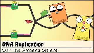 DNA Replication Updated [upl. by Tye]