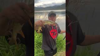 Fishing At Stagecoach Reservoir In Oak Creek Colorado Beautiful Pike fishing shorts world [upl. by Ayin206]