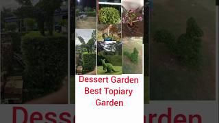 Topiary plant Beautiful Garden [upl. by Gian]