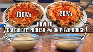 In Depth Understanding Poolish  For Pizza Dough [upl. by Bentlee]