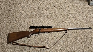 Savage 23AA Sporter Bolt action 22lr Rifle [upl. by Enivid327]